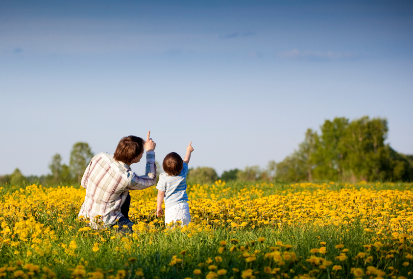 Child Custody Lawyer